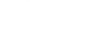 Lighting Management Co.